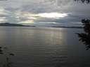 ./images/koeye/fitz-hugh/20200827/fitz-hugh20200827_195502.jpg