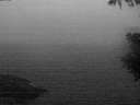 ./images/koeye/fitz-hugh/20200828/fitz-hugh20200828_060002.jpg