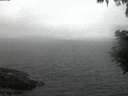 ./images/koeye/fitz-hugh/20200828/fitz-hugh20200828_060502.jpg