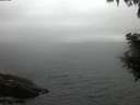 ./images/koeye/fitz-hugh/20200828/fitz-hugh20200828_061002.jpg