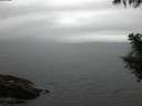 ./images/koeye/fitz-hugh/20200828/fitz-hugh20200828_061501.jpg