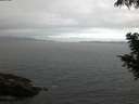 ./images/koeye/fitz-hugh/20200828/fitz-hugh20200828_062001.jpg