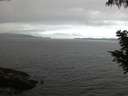 ./images/koeye/fitz-hugh/20200828/fitz-hugh20200828_062501.jpg