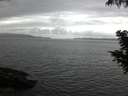 ./images/koeye/fitz-hugh/20200828/fitz-hugh20200828_063501.jpg