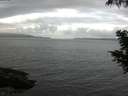 ./images/koeye/fitz-hugh/20200828/fitz-hugh20200828_064002.jpg