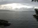 ./images/koeye/fitz-hugh/20200828/fitz-hugh20200828_064502.jpg
