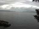 ./images/koeye/fitz-hugh/20200828/fitz-hugh20200828_065002.jpg
