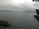 ./images/koeye/fitz-hugh/20200828/fitz-hugh20200828_070502.jpg