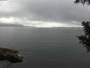 ./images/koeye/fitz-hugh/20200828/fitz-hugh20200828_071502.jpg
