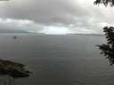 ./images/koeye/fitz-hugh/20200828/fitz-hugh20200828_072502.jpg