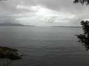 ./images/koeye/fitz-hugh/20200828/fitz-hugh20200828_073502.jpg