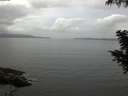 ./images/koeye/fitz-hugh/20200828/fitz-hugh20200828_074001.jpg