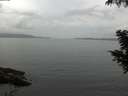./images/koeye/fitz-hugh/20200828/fitz-hugh20200828_075001.jpg