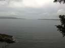 ./images/koeye/fitz-hugh/20200828/fitz-hugh20200828_080001.jpg