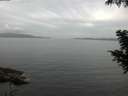 ./images/koeye/fitz-hugh/20200828/fitz-hugh20200828_082501.jpg