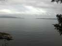 ./images/koeye/fitz-hugh/20200828/fitz-hugh20200828_085501.jpg