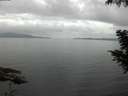./images/koeye/fitz-hugh/20200828/fitz-hugh20200828_090501.jpg