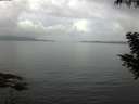 ./images/koeye/fitz-hugh/20200828/fitz-hugh20200828_092001.jpg