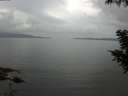 ./images/koeye/fitz-hugh/20200828/fitz-hugh20200828_093501.jpg