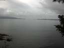 ./images/koeye/fitz-hugh/20200828/fitz-hugh20200828_094001.jpg