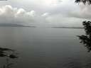 ./images/koeye/fitz-hugh/20200828/fitz-hugh20200828_095502.jpg