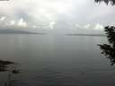 ./images/koeye/fitz-hugh/20200828/fitz-hugh20200828_104502.jpg