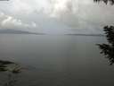 ./images/koeye/fitz-hugh/20200828/fitz-hugh20200828_110501.jpg