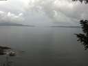 ./images/koeye/fitz-hugh/20200828/fitz-hugh20200828_111001.jpg