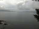 ./images/koeye/fitz-hugh/20200828/fitz-hugh20200828_112501.jpg