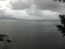 ./images/koeye/fitz-hugh/20200828/fitz-hugh20200828_114501.jpg