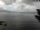 ./images/koeye/fitz-hugh/20200828/fitz-hugh20200828_115001.jpg