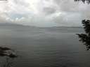 ./images/koeye/fitz-hugh/20200828/fitz-hugh20200828_115501.jpg