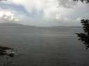 ./images/koeye/fitz-hugh/20200828/fitz-hugh20200828_121001.jpg
