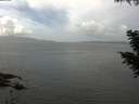 ./images/koeye/fitz-hugh/20200828/fitz-hugh20200828_121501.jpg