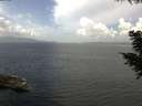 ./images/koeye/fitz-hugh/20200828/fitz-hugh20200828_124001.jpg