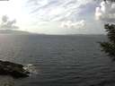 ./images/koeye/fitz-hugh/20200828/fitz-hugh20200828_145001.jpg