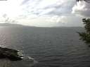./images/koeye/fitz-hugh/20200828/fitz-hugh20200828_145501.jpg