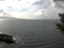 ./images/koeye/fitz-hugh/20200828/fitz-hugh20200828_150501.jpg