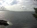 ./images/koeye/fitz-hugh/20200828/fitz-hugh20200828_151501.jpg