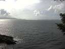 ./images/koeye/fitz-hugh/20200828/fitz-hugh20200828_152501.jpg