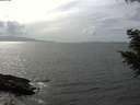 ./images/koeye/fitz-hugh/20200828/fitz-hugh20200828_153501.jpg
