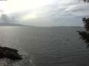 ./images/koeye/fitz-hugh/20200828/fitz-hugh20200828_154001.jpg