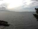 ./images/koeye/fitz-hugh/20200828/fitz-hugh20200828_154501.jpg