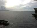 ./images/koeye/fitz-hugh/20200828/fitz-hugh20200828_155002.jpg