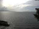 ./images/koeye/fitz-hugh/20200828/fitz-hugh20200828_155502.jpg