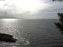 ./images/koeye/fitz-hugh/20200828/fitz-hugh20200828_160002.jpg