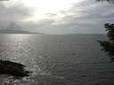 ./images/koeye/fitz-hugh/20200828/fitz-hugh20200828_160502.jpg