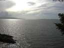 ./images/koeye/fitz-hugh/20200828/fitz-hugh20200828_161002.jpg