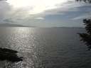 ./images/koeye/fitz-hugh/20200828/fitz-hugh20200828_162502.jpg
