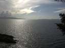 ./images/koeye/fitz-hugh/20200828/fitz-hugh20200828_163502.jpg